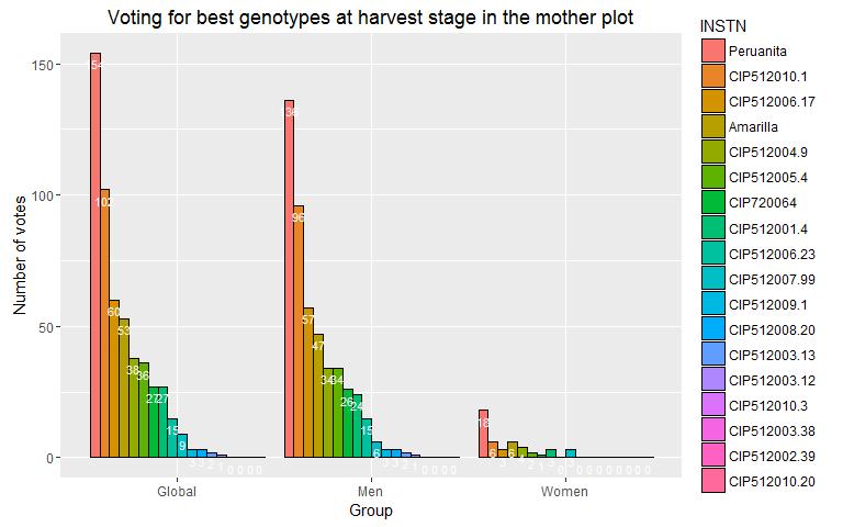 Gráfico Nº 05. Votación de selección para los mejores genotipos en la parcela.