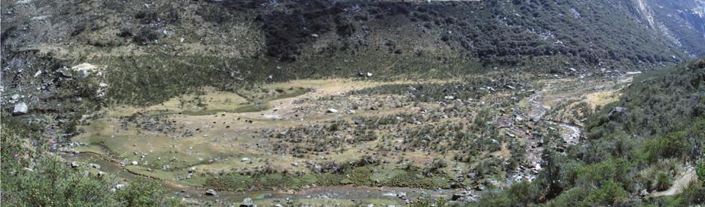 En la parte media del valle glaciar de Cojup se aprecian los restos de la laguna Jircaycocha (fotografía 61), la cual fue completamente desaguada por el aluvión de 1941 originado aguas arriba en la