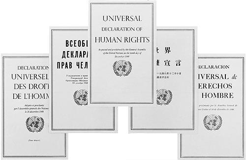 DECLARACIÓN UNIVERSAL DE LOS DERECHOS HUMANOS La declaración universal de los derechos humanos ha sido traducida a más de 500 idiomas, lo cual da muestra de su gran difusión a nivel global Adoptada