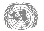 Departamento de Asuntos Económicos y Sociales Directrices de las Naciones Unidas para la