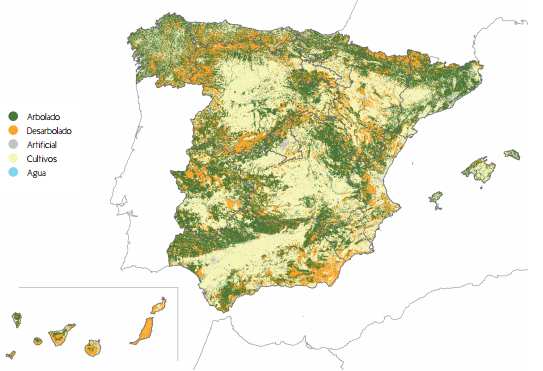Figura 1: Superficie Forestal en España: Distribución de la superficie, grupo y tipo de especies. Coníferas, 37% Frondosas, 55% Mixtas, 8% Mezcla de coniferas y frondosas 6,4% Mezcla de Repobl.