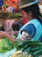Situación de las mujeres en el mundo 15 INTERED Las mujeres de los países empobrecidos no poseen ni el 2% de la tierra cultivable pero producen el 70% de los alimentos.