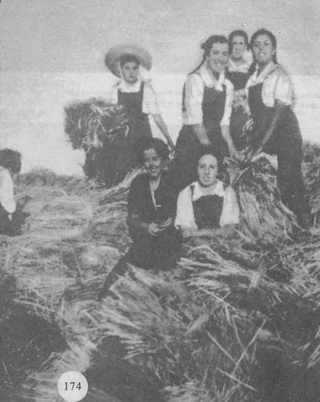 Jóvenes segovianas en las faenas del campo En el frente de Granada, 1938, Mercedes Sanz