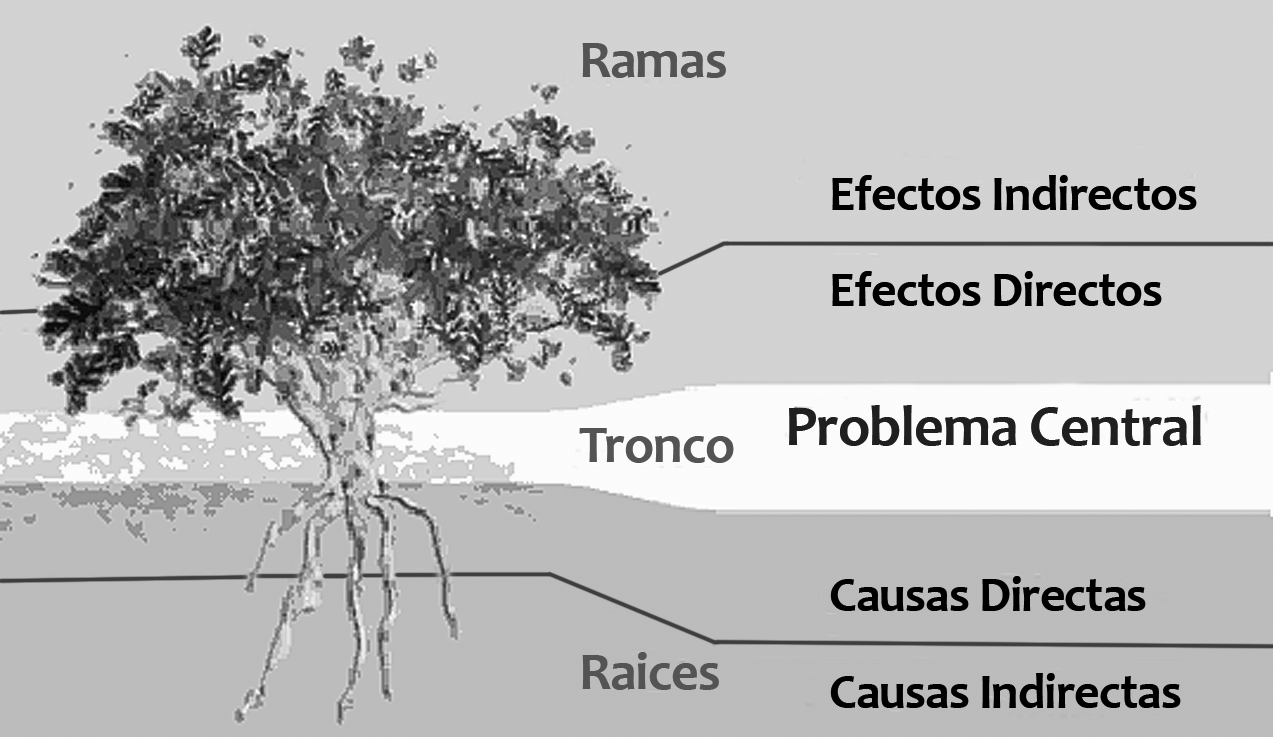 5. Esquematizar las relaciones causa y efecto en forma de árbol problemas Con base en la identificación del problema central, las causas y efectos, y los indicadores correspondientes, se procede a