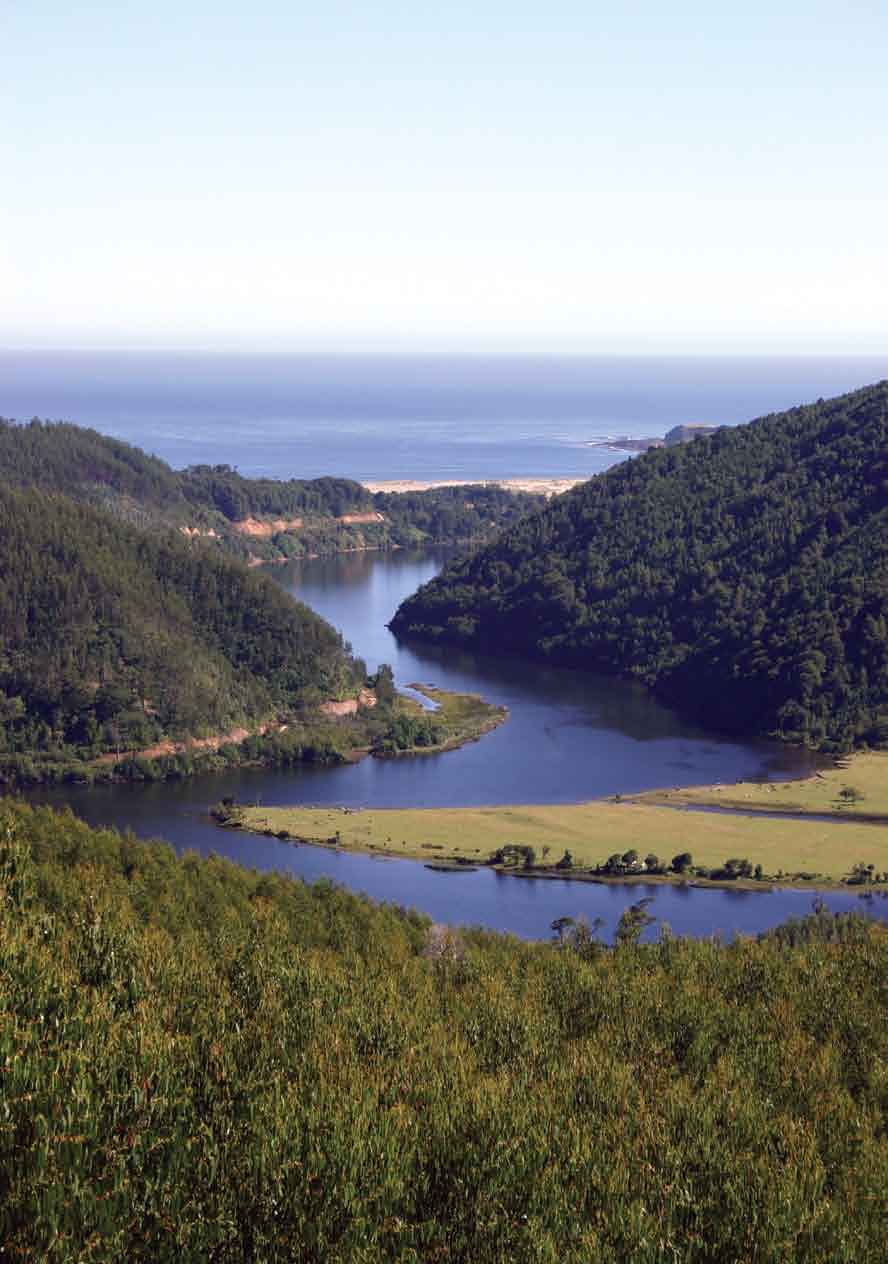 Río Chaihuin