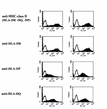 Análisis por citometría de flujo de la expresión del MHC clase II en PBLs de A.