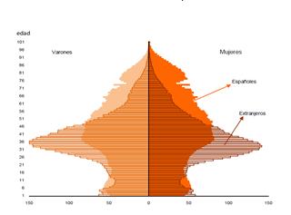 Gráfico14: Pirámide poblacional Fuente: INE, 2013 Como podemos apreciar en el gráfico 13, la estructura de la población es casi simétrica.