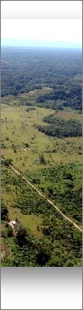 Así, en 1980 se crea el Proyecto Especial Pichis Palcazú (PEPP), para impulsar el desarrollo de la selva central con programas multi-sectoriales, con el objetivo de aprovechar los recursos naturales