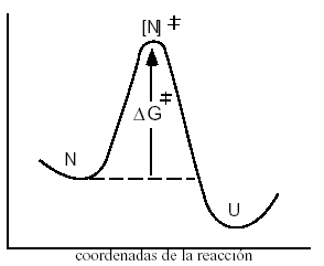 Los diagramas de coordenadas de la reacción, como los que a continuación se muestran para la reacción de desnaturalización de una proteína, se emplean con frecuencia para ilustrar la idea de que en