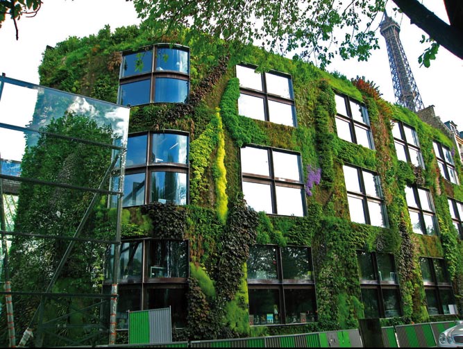Calidad Medioambiental 2 Los edificios se visten de verde 1 Las fachadas vegetales son cada vez más habituales.