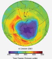 11. Cuál es la gravedad del agotamiento de la capa de ozono en la Antártida? El agotamiento severo de la capa de ozono antártica fue observado por primera vez a comienzos de los años 80.