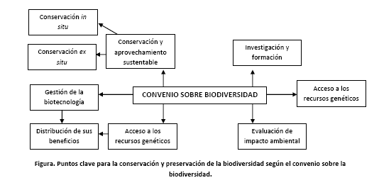 Este es un convenio clave para entender el camino que sigue y seguirá la conservación. Los objetivos de este Convenio (especificados en el artículo 1) son: La conservación de la biodiversidad.