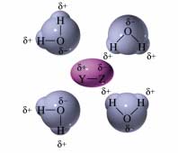 78 Tema 5 tro ejemplo de interacción entre un soluto polar y un disolvente polar es el de la disolución del Cl en agua.