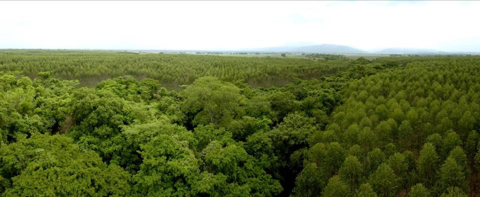 Conciencia Ambiental El Grupo Smurfit Kappa Cartón de Venezuela se compromete en hacer de la preservación del ambiente una prioridad en sus operaciones existentes, así como en sus nuevas inversiones