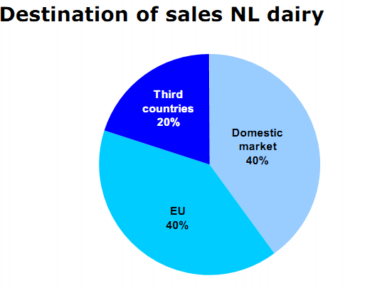 Página16 b) Industria Lactea Cabe destacar que Holanda tiene una tradición importante en los procesos industriales asociados al sector lácteo y sus derivados.