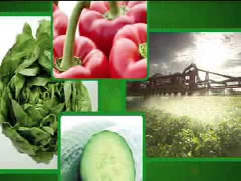 cultivos agrícolas
