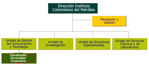Figura 2. Estructura Organizacional ICP 1 1.