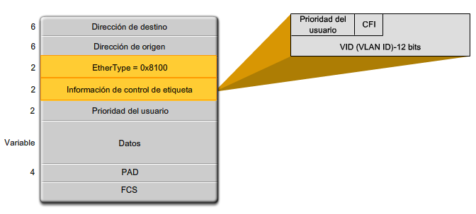 Conceptos básicos de telefonía Capítulo II Figura 2.23 Campo de etiqueta de una VLAN en una trama[ 2.5.3 Beneficios de implementación de VLANs.