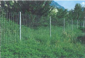 La desventaja de los vallados es que aumentan el efecto barrera y, por ello, siempre deben instalarse en combinación con pasos de fauna que garanticen que la mayoría de especies puedan cruzar la