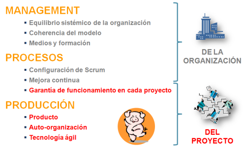 proyecto o solución técnica, y el área directiva o de management de la organización.