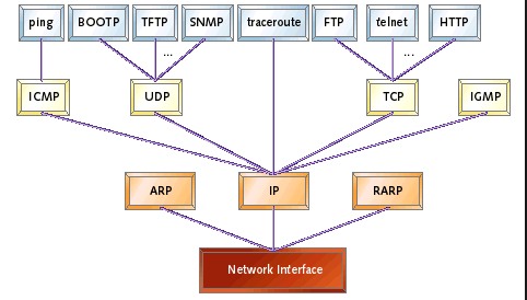 Fig.3 TCP header 2.1.