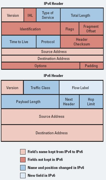 Figura 29. Diferencias entre IPv4 e IPv6 LUIS[46]. Simplicado de cabecera.