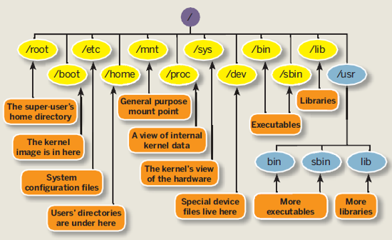 Linux: características Sistema de archivos: Jerarquización de la información para el S.O.