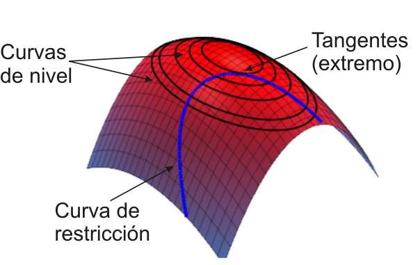 Dichas curvas tienen una recta tangente común y, por consecuencia, tienen una perpendicular común.