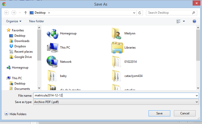 el documento, el cual puede ser almacenado en cualquier directorio del computador, y a su vez puede ser visualizado en el navegador web.