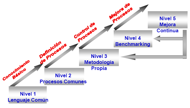 MADUREZ ESTRATÉGICA Evolución en la cultura de Administración de Proyectos: OPM3 Organizational Project Management