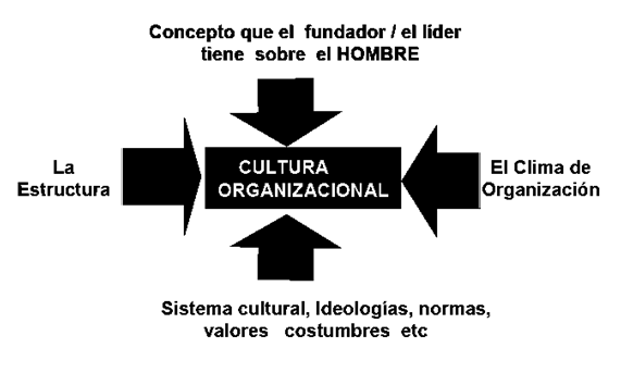 mucho mejor sus alcances e impacto al momento de generar estrategias de gestión de clientes y CRM (Méndez, 2006). Figura Nº 6. Elementos de la Cultura Organizacional.