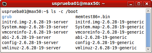La llamada al núcleo tiene el siguiente formato: /boot/vmlinuz-<versión del núcleo>, donde <versión del núcleo> corresponde a la especificada en las configuraciones del gestor de arranque (ej.