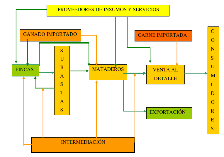 i) Agrocadena de ganado de carne en el territorio Arenal-Tempisque El MAG ha desarrollado un modelo de agrocadena para el sector de ganadería de carne el cual se presenta en la Figura 9.