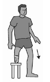 Extensores rodilla: boca arriba alzar y bajar el muñón con la rodilla extendida.