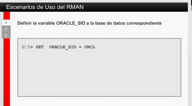 5.1 Oracle Recovery Manager (RMAN) 5.1.7 Escenarios de Uso del RMAN Al momento de utilizar RMAN, es posible conectarse a una base de datos con diferentes características: Base de datos a resguardar (target database).