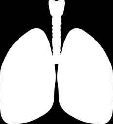 Anamnesis especial Medicina interna El sistema respiratorio: General y factores de riesgo Tos/esputo Dolor torácico Fuma? Cuántos cigarrillos/paquetes al día? Es alérgico? Tiene asma?