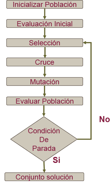 Algoritmo-Flujo del algoritmo (1) Representación Binaria usualmente Población inicial Función de evaluación Selección