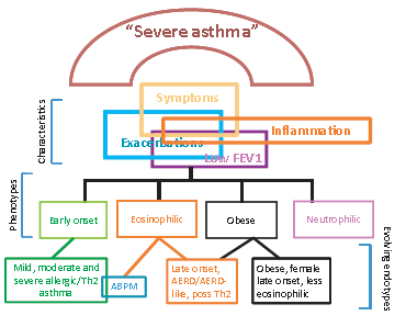 Fenotipo: Asma eosinofílica Endotipos: asma alérgica (adultos), asma por sensibilidad a la aspirina, asma hipereosinofílica severa de inicio tardío, micosis broncopulmonar alérgica.