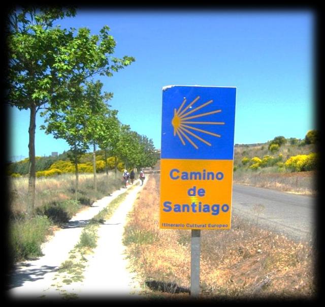 1 Flechas amarillas En el Camino de Santiago, unas flechas amarillas van indicando por dónde va el camino. Apuntan al paso siguiente.