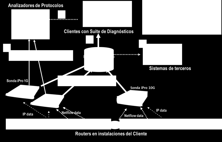 Estructura del ipro El ipro en