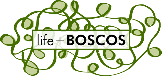 LIFE+ BOSCOS (LIFE07/ENV/E/000824) FICHA TRANSFERENCIA