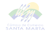 DINÁMICA DE COMPETITIVIDAD DEL MAGDALENA 2012-2013 CÁMARA DE COMERCIO DE SANTA MARTA DEPARTAMENTO DE PLANEACIÓN Y DESARROLLO DIRECTORA: ANA CONCEPCIÓN DAVID DE