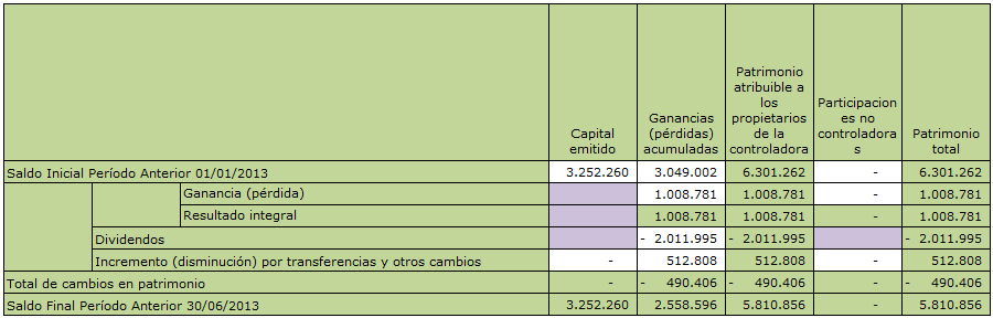 Estados de Cambios en el Patrimonio Neto Intermedio Por los períodos terminados el 30 de Junio de 2014 (No Auditado) y 2013 (No Auditado) (En miles de pesos) Estado de cambios en el patrimonio