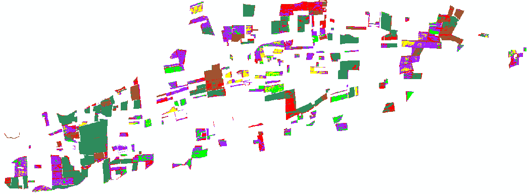 Mapa N 3 Catastro Frutícola de la VI Región de Chile (de octubre de 2008 a marzo de 2009) Imagen: ALOS AVNIR-2: febrero 2009 Algoritmo utilizado: Support Vector Machine 4 Leyenda Capa Vector: