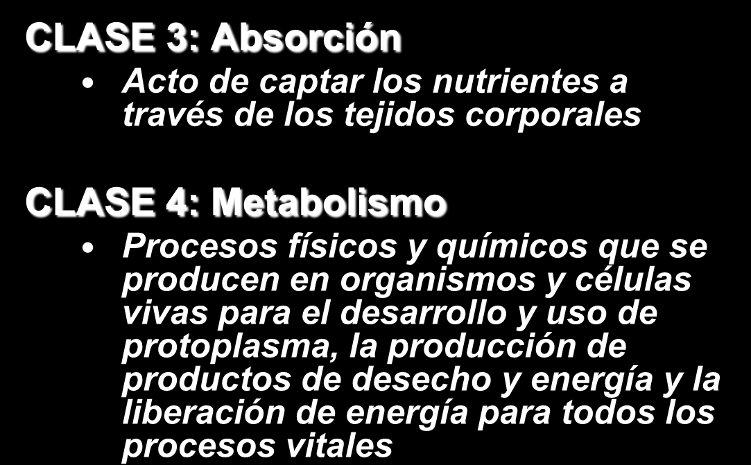 DOMINIO 2: NUTRICIÓN CLASE 2: Digestión Actividades físicas y químicas que convierten los alimentos en sustancias apropiadas para su absorción y asimilación CLASE 3: Absorción Acto de captar los