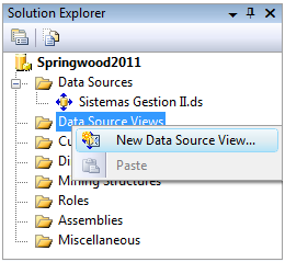 Podemos ver que ahora, en el panel Solution Explorer figura nuestro Data Source.