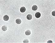 Filtros membrana de policarbonato Las membranas de policarbonato se caracterizan por tener diámetros de poro muy precisos y de forma totalmente cilíndrica, buena estabilidad térmica ( hasta 140ºC), y