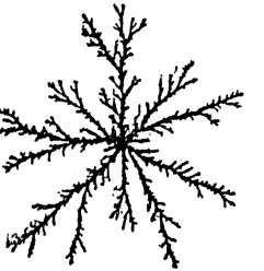 punto de partida. A este punto se le conoce con el nombre de atractor. Figura 12.19: Izquierda: Transformación fractal. Derecha: ADL (dimensión 1.71).