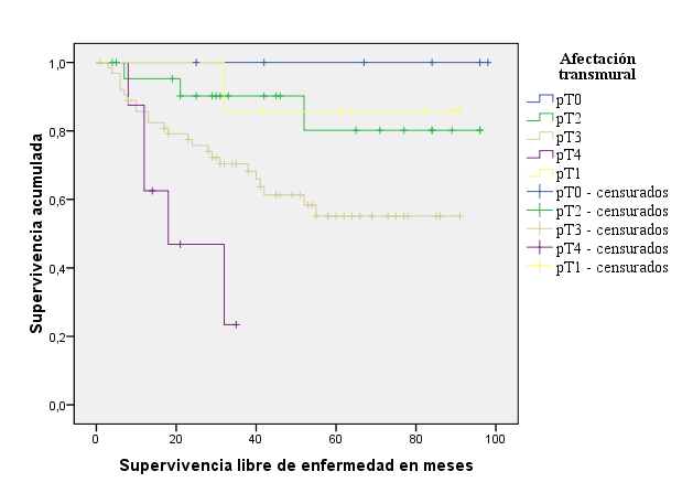 5.3.8.- Supervivencia libre de enfermedad en función de la afectación transmural patológica (pt) 5.3.8.1.
