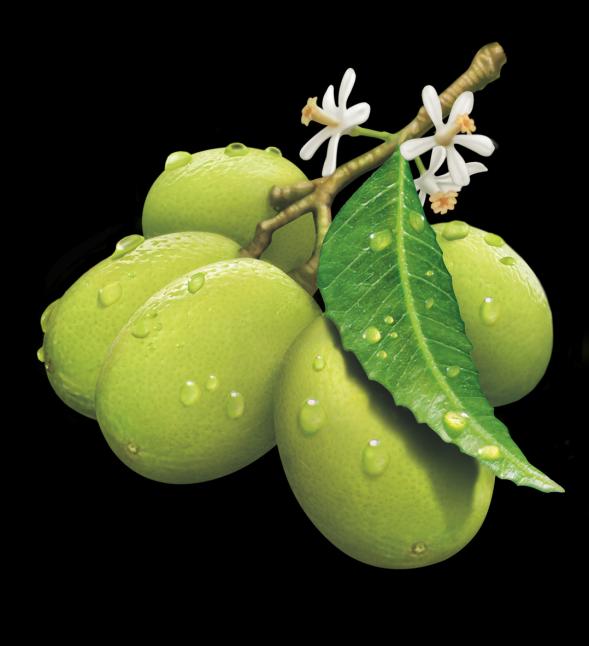 INGREDIENTES ACTIVOS PRINCIPALES: Aceite Esencial de Nim: El árbol de Nim (Azadirachta indica) crece en forma prolífera en la India y vive en zonas tropicales y subtropicales.